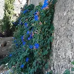 Quinta De Sao Joao