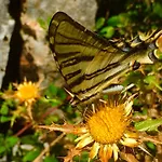Quinta De Sao Joao *