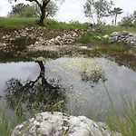 Quinta De Sao Joao Poios
