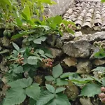 Quinta De Sao Joao Holiday home Poios