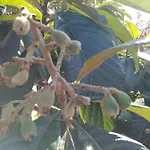 Quinta De Sao Joao Poios