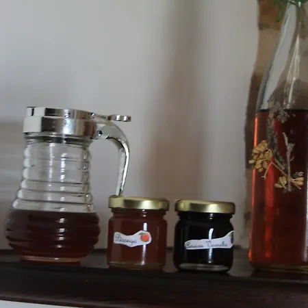 Hébergement de vacances Quinta De Sao Joao