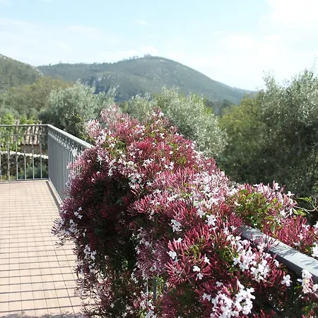 Quinta De Sao Joao