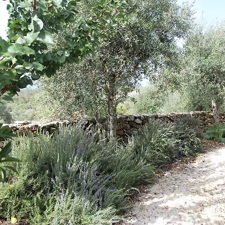Quinta De Sao Joao