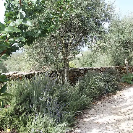 Quinta De Sao Joao