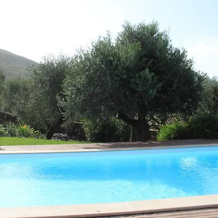 Quinta De Sao Joao Poios