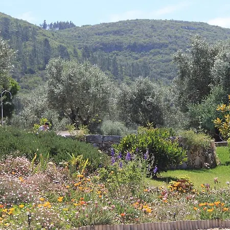 Quinta De Sao Joao Poios