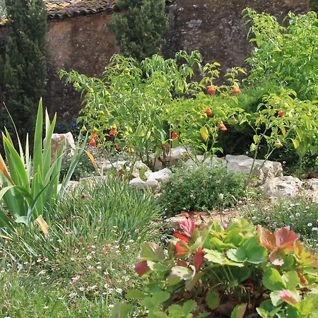 Nyaraló Quinta De Sao Joao *