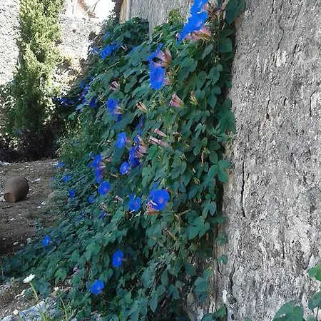 Quinta De Sao Joao