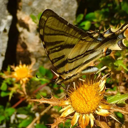 Quinta De Sao Joao *