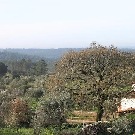 Hébergement de vacances Quinta De Sao Joao