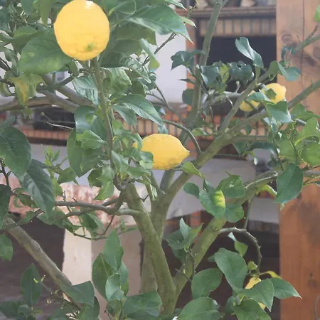 펜션 Quinta De Sao Joao