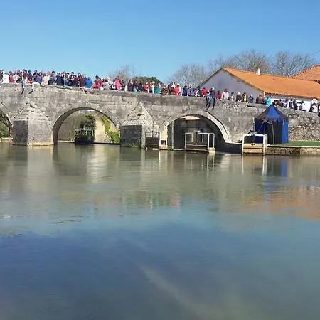 Quinta De Sao Joao 펜션 Poios