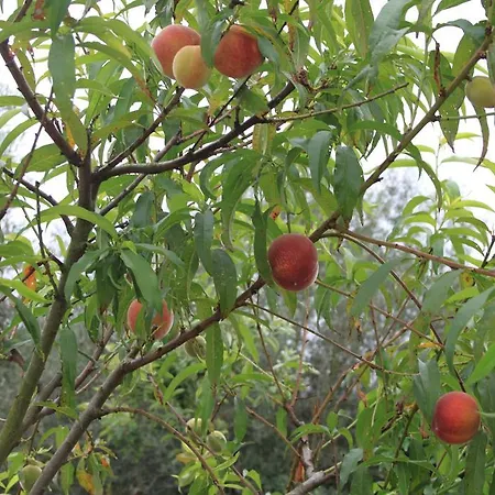 Quinta De Sao Joao Prázdninový dům *