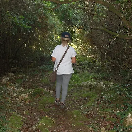 Quinta De Sao Joao Poios