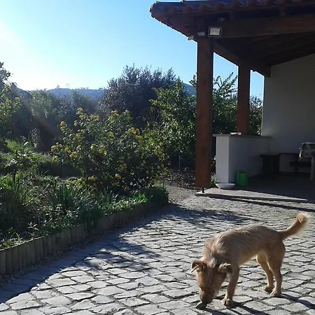 Prázdninový dům Quinta De Sao Joao Poios