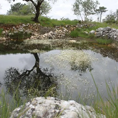 Quinta De Sao Joao Poios