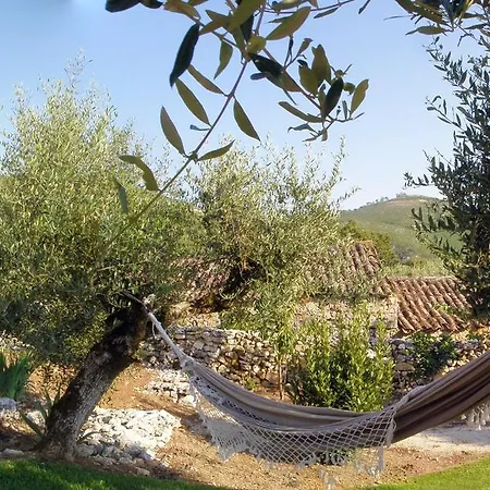 بيت للعطل Quinta De Sao Joao *