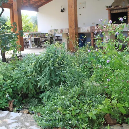 Quinta De Sao Joao * Poios