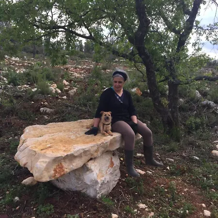 بيت للعطل Quinta De Sao Joao Poios