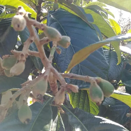 Quinta De Sao Joao Poios