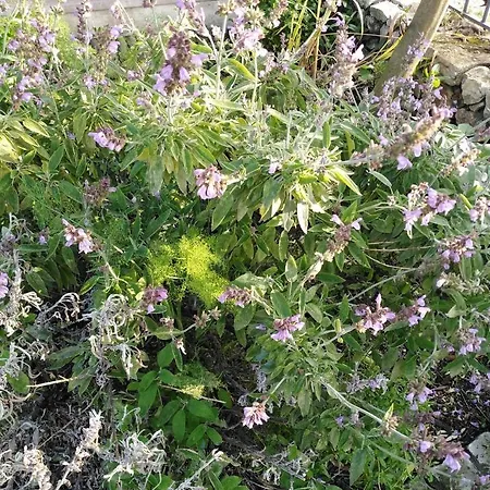 Quinta De Sao Joao *