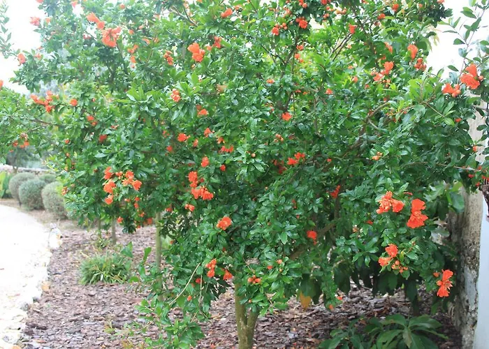 Feriehus Quinta De Sao Joao Poios