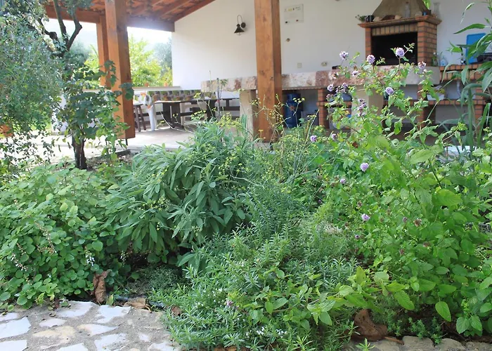 Quinta De Sao Joao * Poios